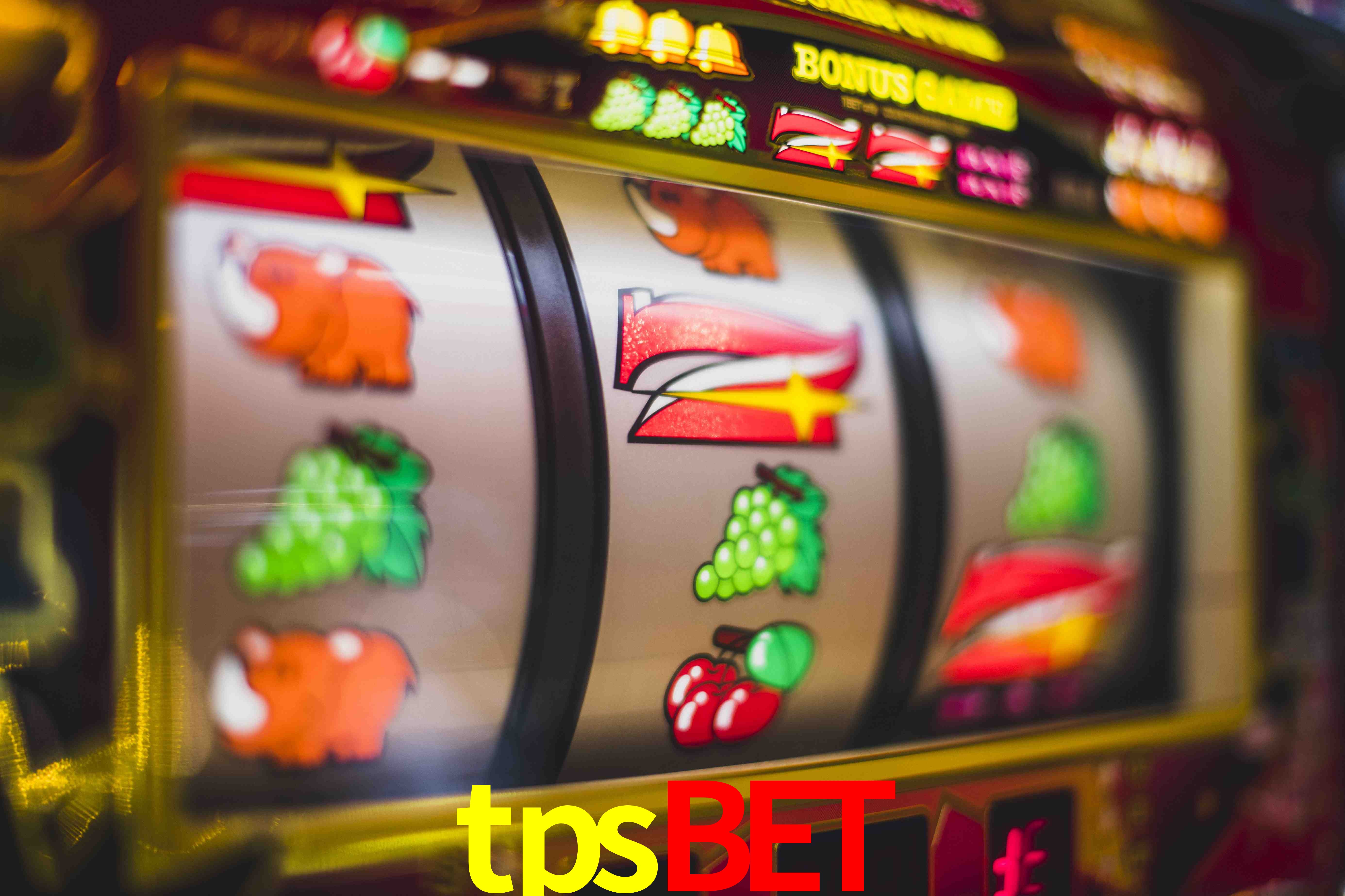 Sports Statistics tpsbet